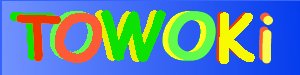 www.towoki.de